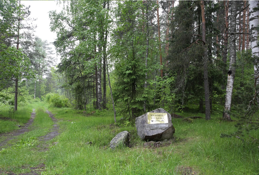 Территория 6